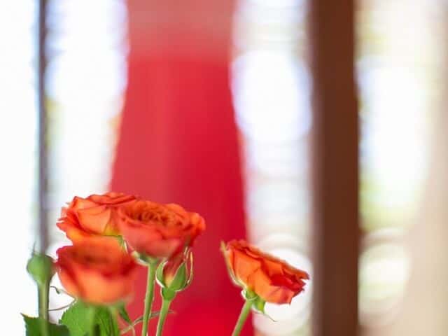 Thailand Wedding Photographer