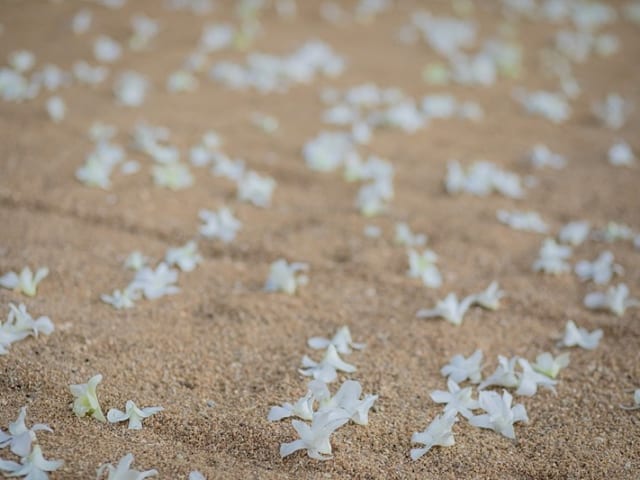 Unique Phuket Wedding Planners Hua Beach Wedding Sep 2017 47