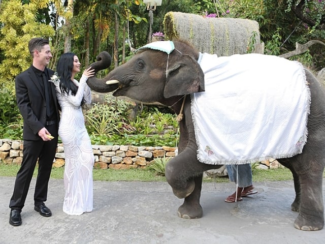 Jacklyn &amp; Alex Wedding 13th March 2018 Thavorn Beach Garden 227