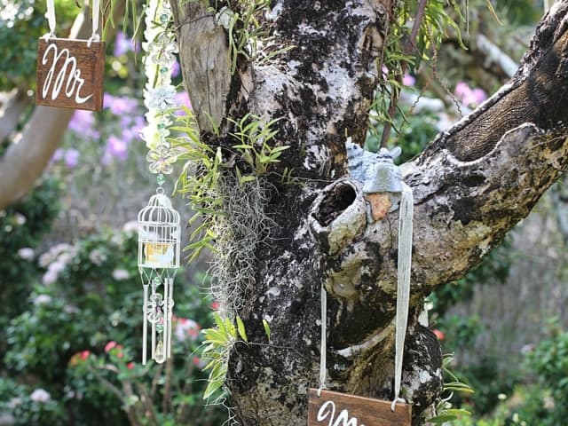 Jacklyn &amp; Alex Wedding 13th March 2018 Thavorn Beach Garden 5