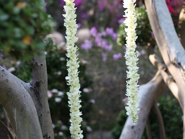 Jacklyn &amp; Alex Wedding 13th March 2018 Thavorn Beach Garden 19