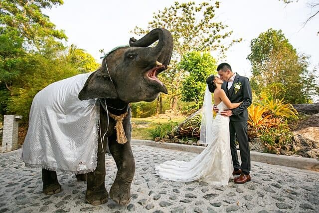 Unique-phuket 0196-1