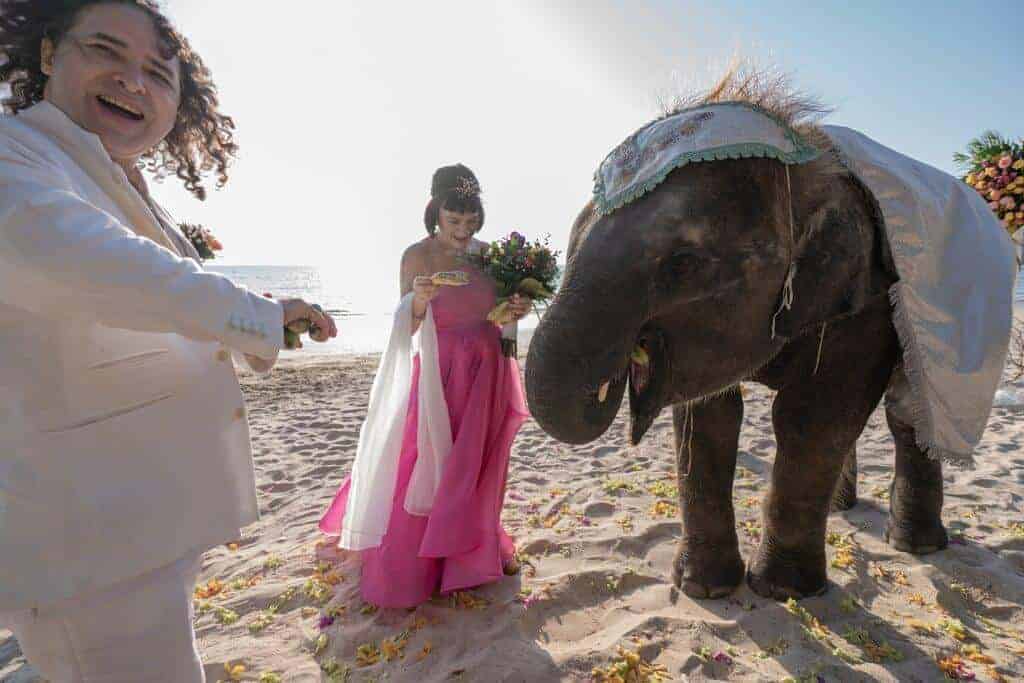 Janice-Mark-Thai-Western-Wedding-27th-Feb-2020-394