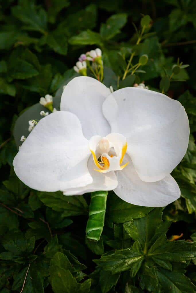 Tina-Tim-Beach-Wedding-Vow-Renewal-2nd-Jan-2020-on-Hua-Beach-32