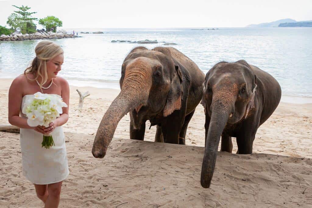 Tina-Tim-Beach-Wedding-Vow-Renewal-2nd-Jan-2020-on-Hua-Beach-77